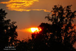 IMG_0033-33