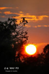 IMG_0037-37