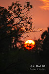 IMG_0040-40