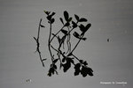 IMG_9938-38