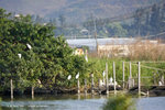 IMG_9946-46