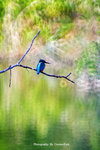 IMG_9963-63