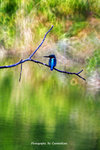 IMG_9968-68