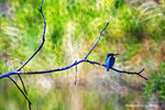 IMG_9983-83