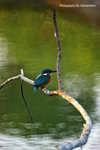 IMG_9994-94