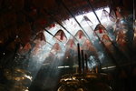 IMG_5115-15