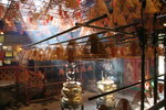 IMG_5142-42