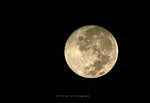 IMG_2235-25