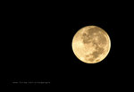 IMG_2267-67