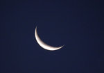 IMG_4407-07