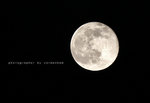 IMG_5922-22