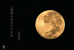 IMG_7131-31