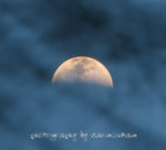 IMG_8284-84