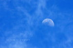 IMG_9070