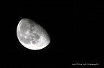 IMG_9494-94