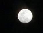 2005年1月23日