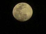 2005年1月23日