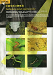 Nature Explorer雜誌02-02