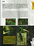 Nature Explorer雜誌03-03