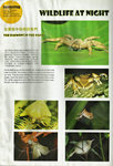 Nature Explorer雜誌04-04