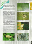 Nature Explorer雜誌05-05