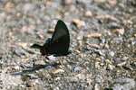 IMG_0252-52