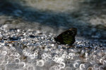 IMG_1553-53