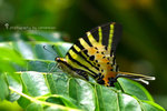 IMG_3544-44