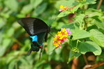 IMG_6622-22