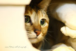 IMG_4937-37