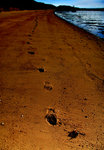 IMG_0150-50