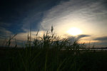IMG_0211-11