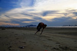 IMG_0249-49