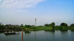 IMG_1766-66