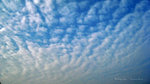 IMG_1768-68