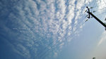 IMG_1769-69