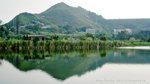IMG_1771-71