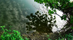 IMG_1773-73