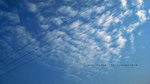 IMG_1779-79