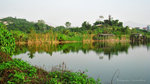 IMG_1796-96