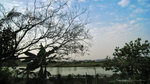 IMG_1801-01