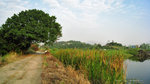IMG_1815-15