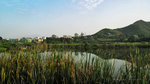 IMG_1816-16