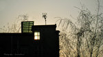 IMG_1838-38