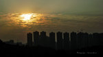 IMG_1849-49