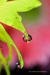 IMG_7529