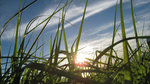IMG_8767-67