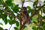 IMG_1577-77