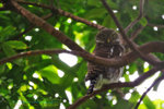 IMG_2126-26