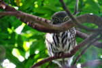 IMG_2135-35